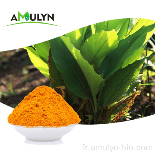 AMUNYNN Soins de santé Extrait de curcuma biologique